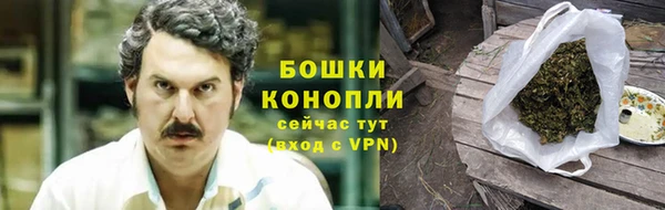 тгк Бронницы