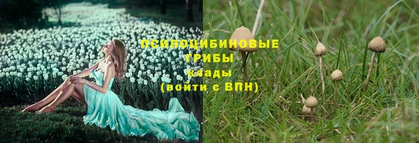 тгк Бронницы