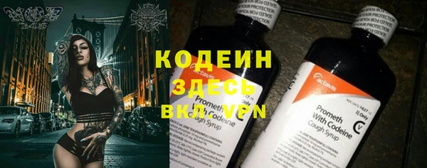 мяу мяу мука Бородино