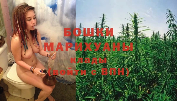 тгк Бронницы